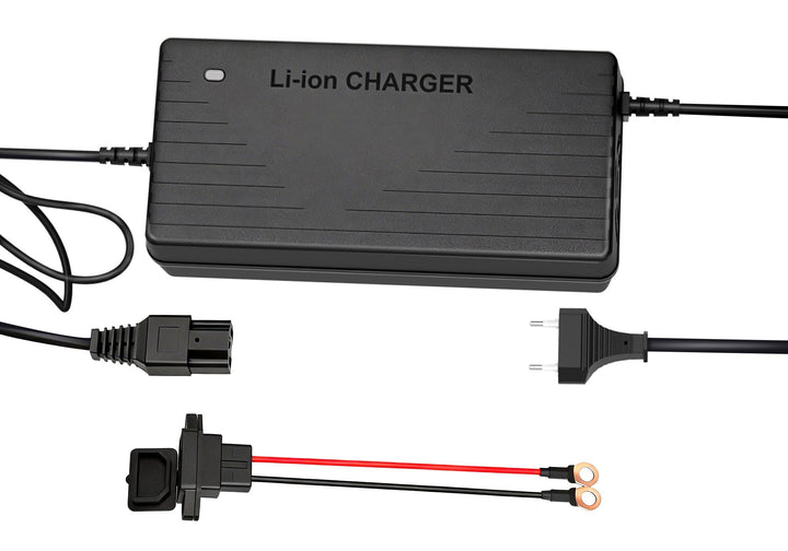 29,2V 10A Lithium Batterie Ladegerät für 24V(25,6) LiFePO4 Batterie, 24V AC-DC Lithium LiFePO4 Batte
