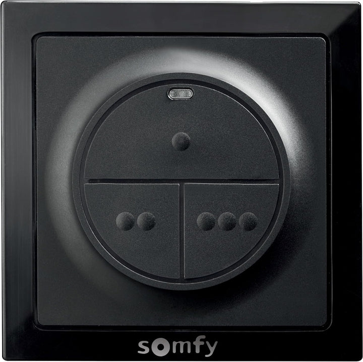 Somfy 1871131 - io Wand-Funksteuerung | Zur Steuerung eines Garagen- oder Tormotors und/oder der Bel