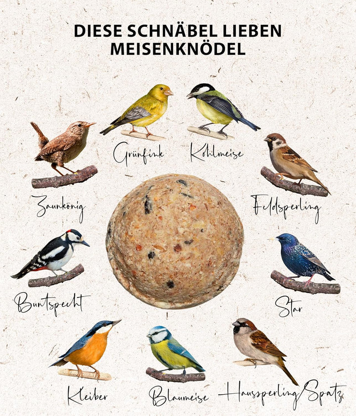 Dehner Natura Premium Meisenknödel ohne Netz, ganzjähriges Wildvogelfutter proteinreich/energiereich