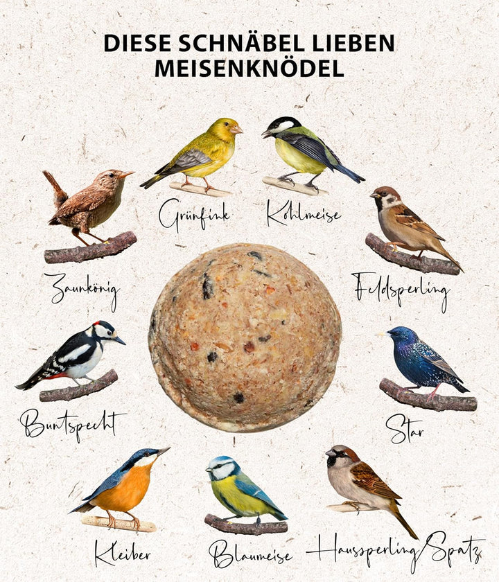 Dehner Natura Premium Meisenknödel ohne Netz, ganzjähriges Wildvogelfutter proteinreich / energierei