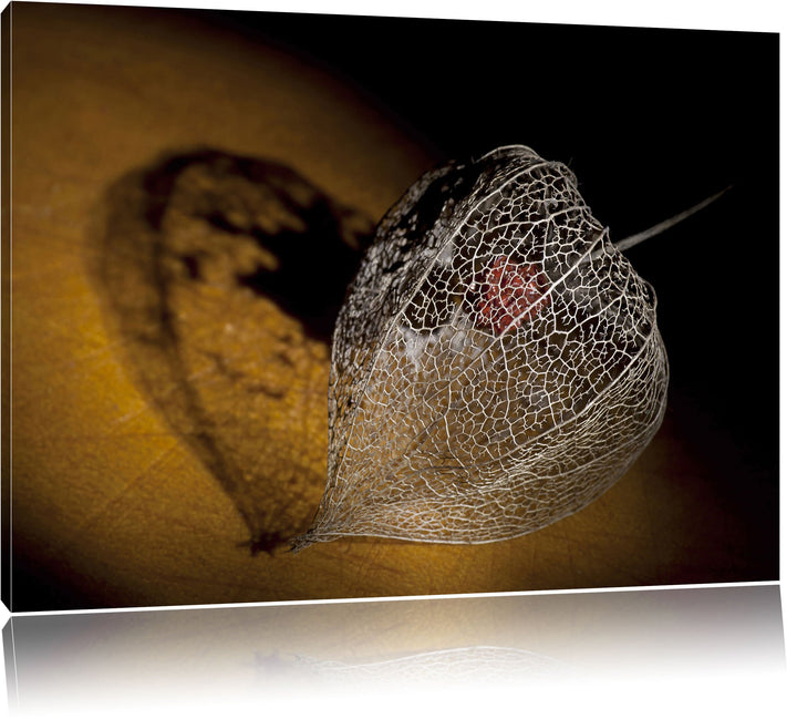 Schatten einer Physalis, Format: 100x70 auf Leinwand, XXL riesige Bilder fertig gerahmt mit Keilrahm