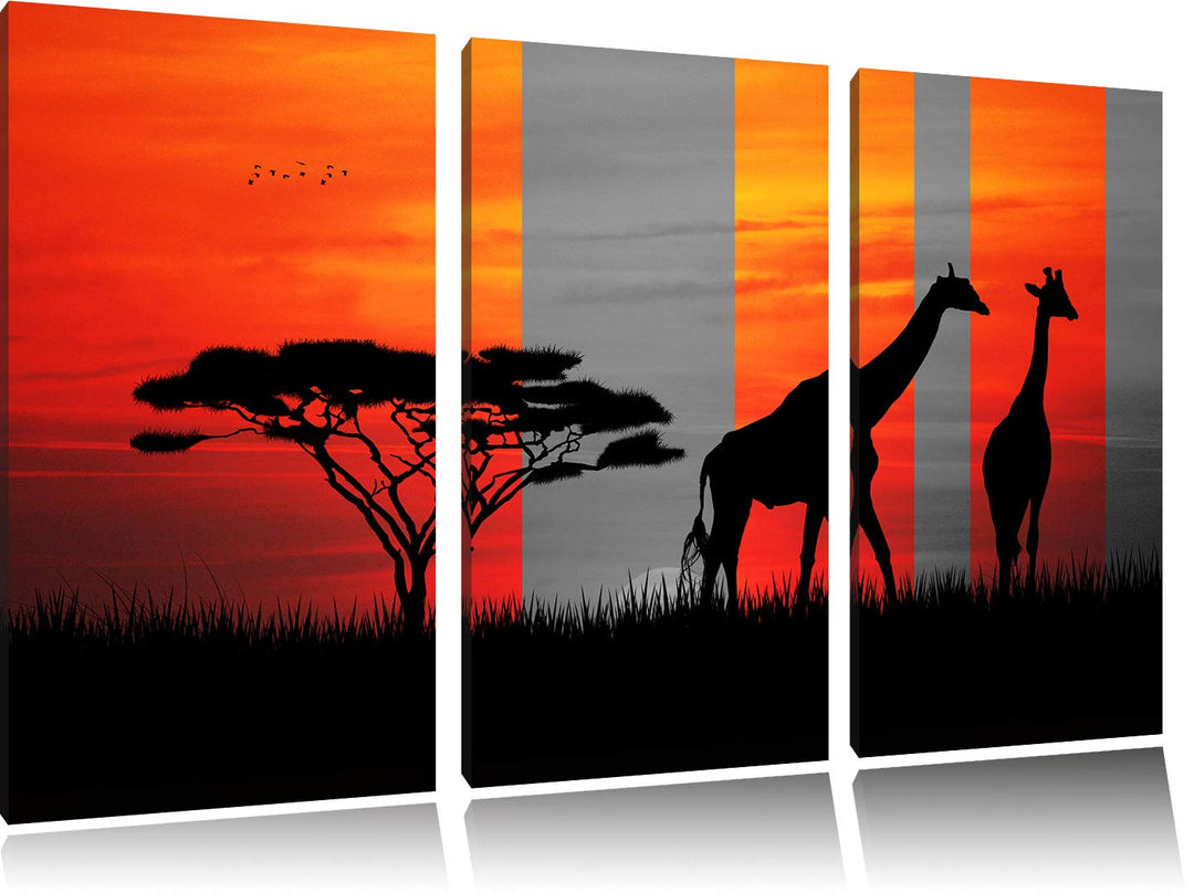 Afrika Giraffen im Sonnenuntergang schwarz/weiss 3-Teiler Leinwandbild 120x80 Bild auf Leinwand, XXL
