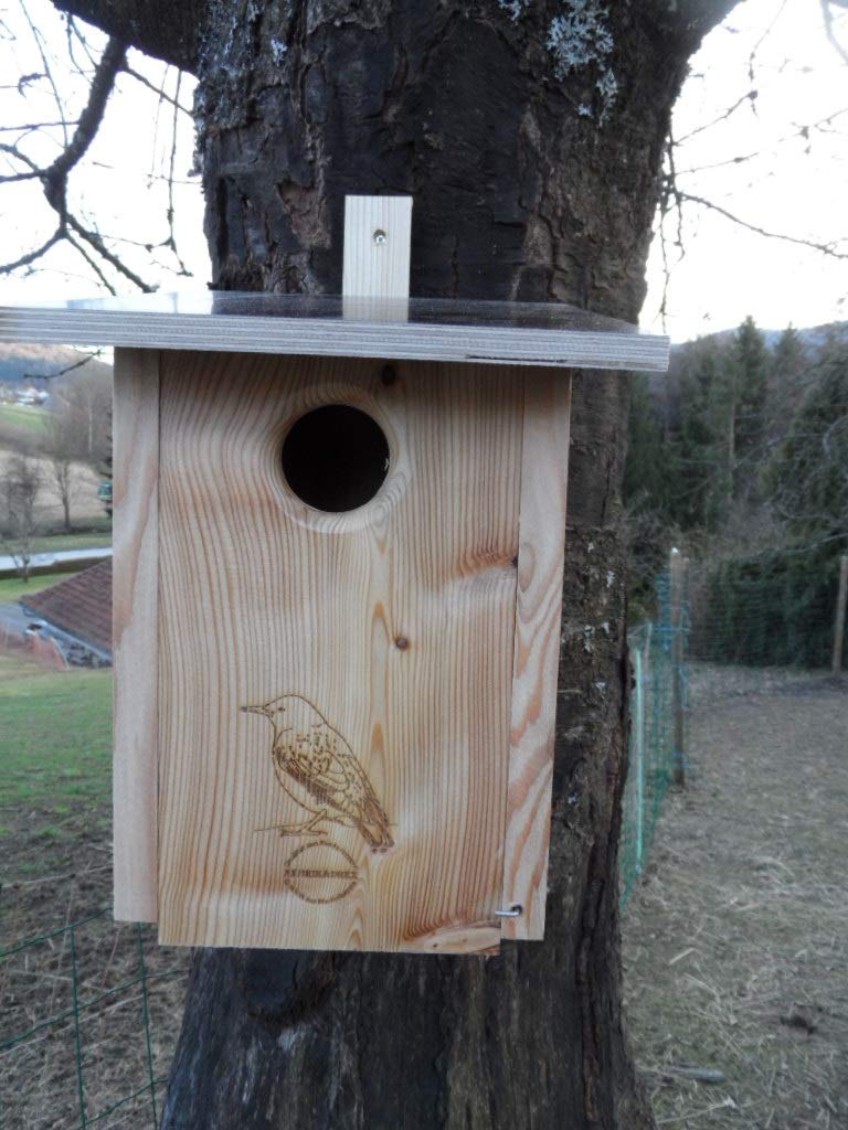 Premium Natur Lärchenholz Nistkasten unbehandelt nach Nabu Star Kasten Buntspecht 45mm Einflugloch,