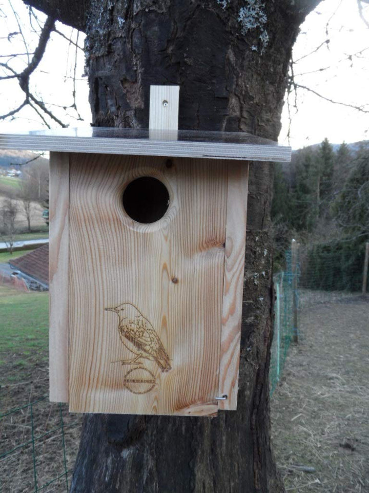 Premium Natur Lärchenholz Nistkasten unbehandelt nach Nabu Star Kasten Buntspecht 45mm Einflugloch,