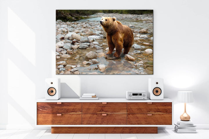 deyoli niedlicher Braunbär Format: 80x60 als Leinwandbild, Motiv fertig gerahmt auf Echtholzrahmen,