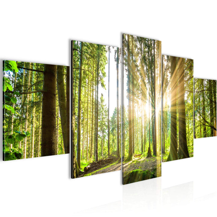 Runa Art Wandbilder Wald Landschaft 5 Teilig Bild auf Vlies Leinwand Deko Schlafzimmer Wohnzimmer So