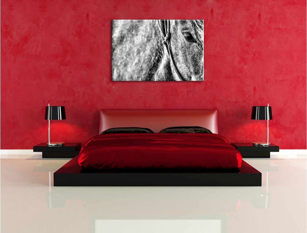 Pixxprint prachtvolles Pferd als Leinwandbild/Grösse: 100x70 cm/Wandbild/Kunstdruck/fertig bespannt,