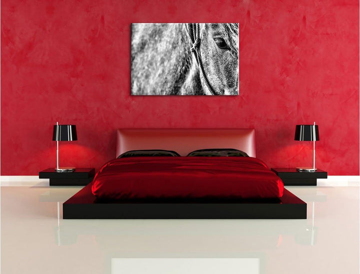 Pixxprint prachtvolles Pferd als Leinwandbild/Grösse: 100x70 cm/Wandbild/Kunstdruck/fertig bespannt,
