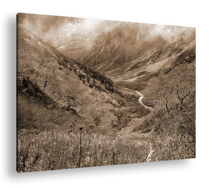 deyoli herbstliches Gelb Format: 80x60 Effekt: Sepia als Leinwandbild, Motiv fertig gerahmt auf Echt