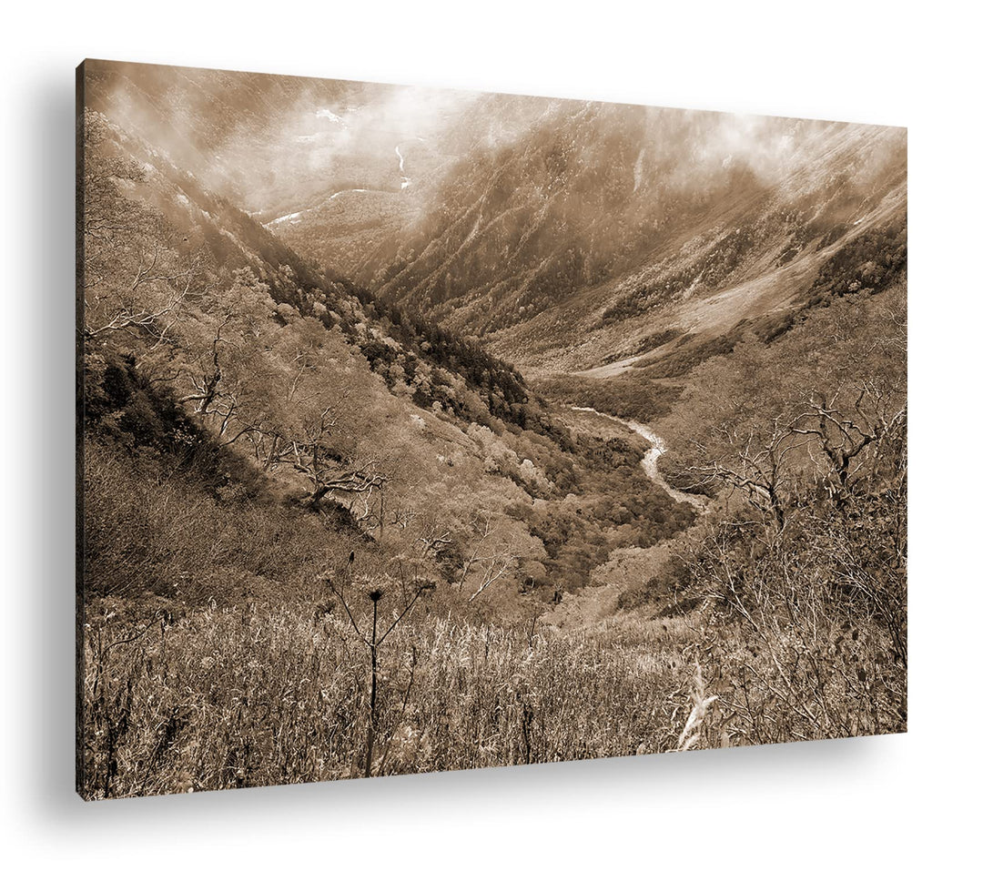 deyoli herbstliches Gelb Format: 120x80 Effekt: Sepia als Leinwandbild, Motiv fertig gerahmt auf Ech