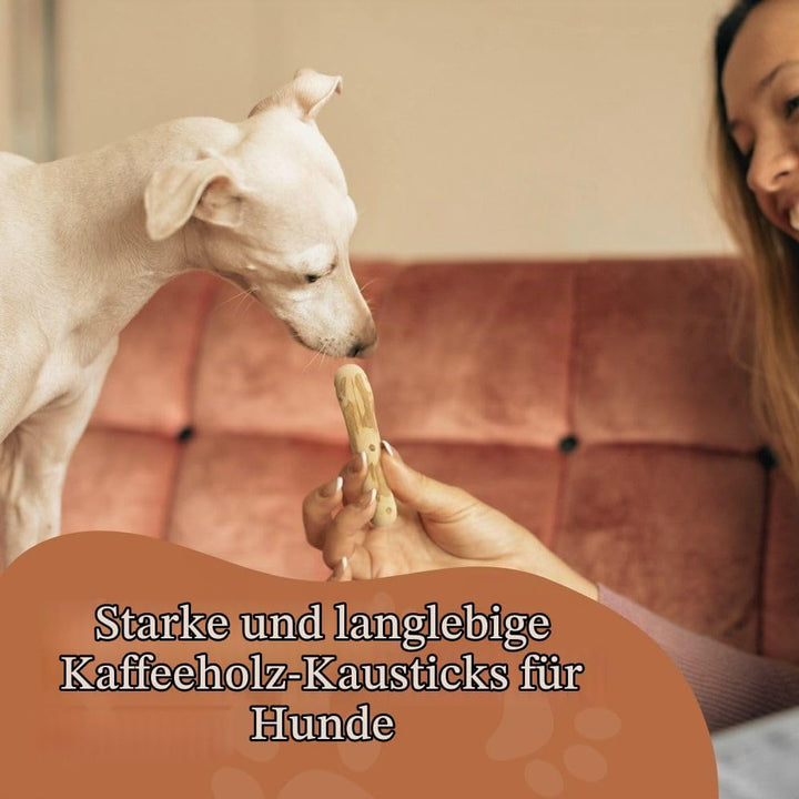 Wildfang® 3 Kaustab Hund aus Kaffeeholz (Grösse XXS) – Kauspielzeug für Welpen &amp; kleine Hunde – Robu