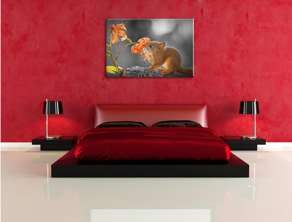 Pixxprint süsses Eichhörnchen riecht an Einer Blume B&W Detail, Format: 100x70 auf Leinwand, 100x70
