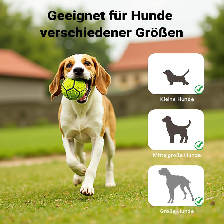 Wiltec Hunderampe faltbar, 156 x 40 cm, geklappt 79 x 40 cm, aus Kunststoff, rutschsicher, Traglast