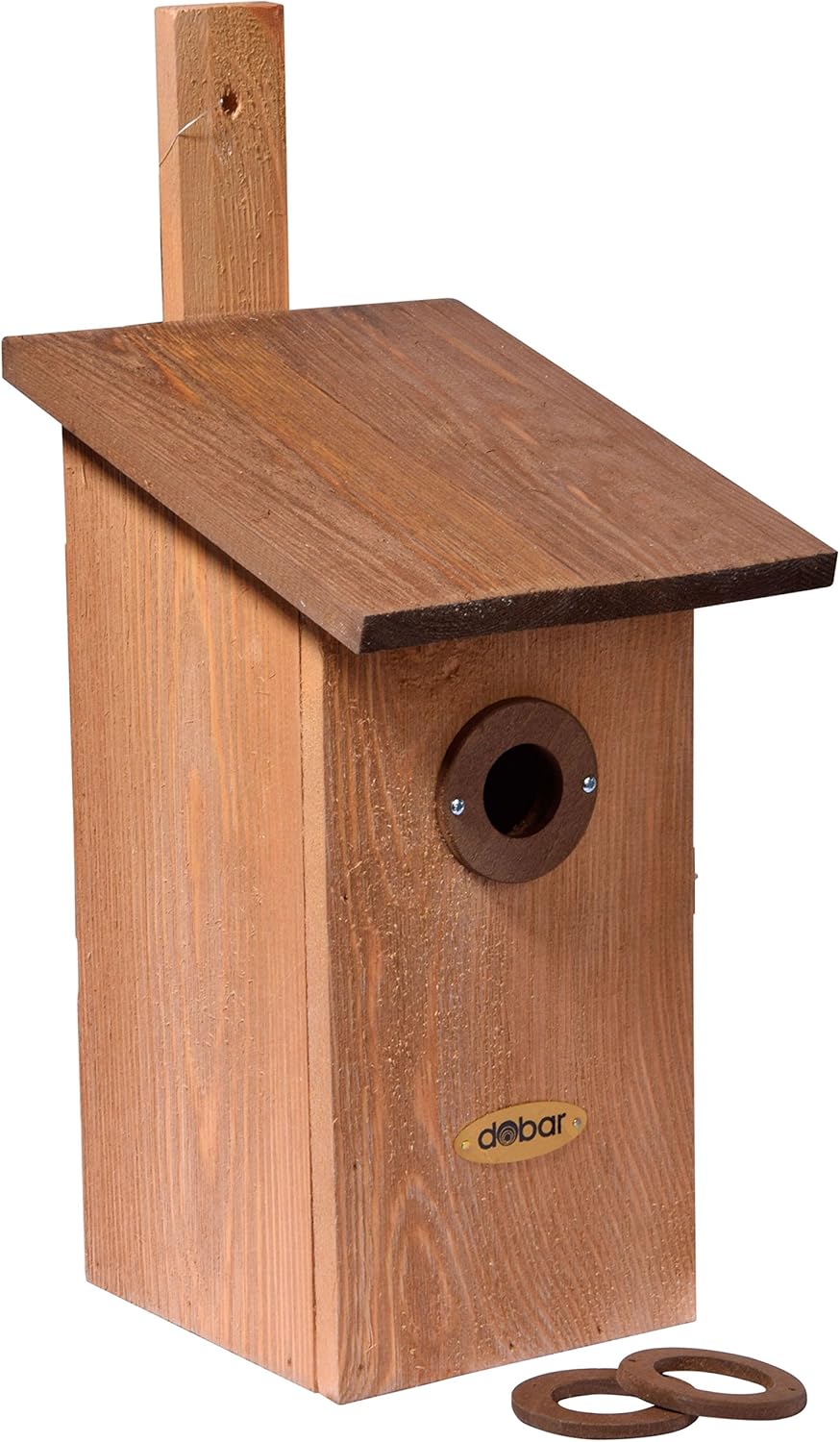 dobar® 22419e Nistkasten Einblick - Nisthöhle für Wildvögel - Höhlenbrüter-Nistkasten Massivholz - P