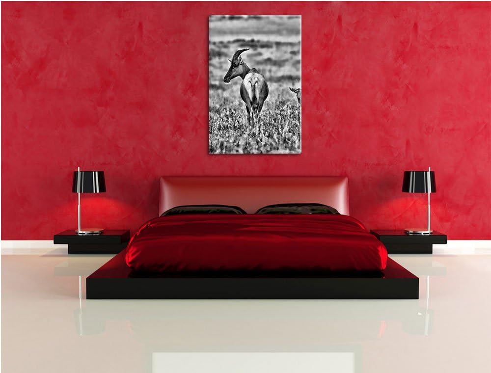 Pixxprint rote Kuhantilope mit Jungtier als Leinwandbild | Grösse: 100x70 | Wandbild| Kunstdruck | f