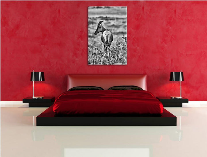 Pixxprint rote Kuhantilope mit Jungtier als Leinwandbild | Grösse: 100x70 | Wandbild| Kunstdruck | f