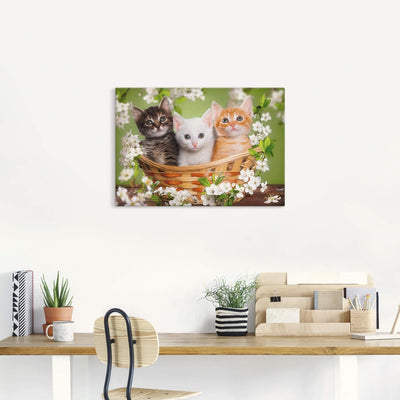 Artland Leinwandbild Wandbild Bild auf Leinwand 70x50 cm Wanddeko Katze Tiere Katzenbaby Baby Landha