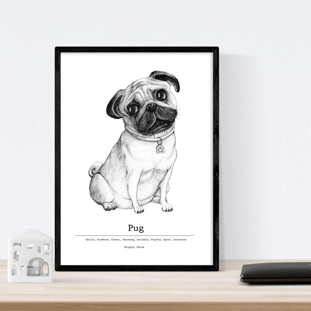 Nacnic Packung dePerros dekorative Poster descripcion.Láminas Hunderasse. A4-Format A4 Hundezucht-be