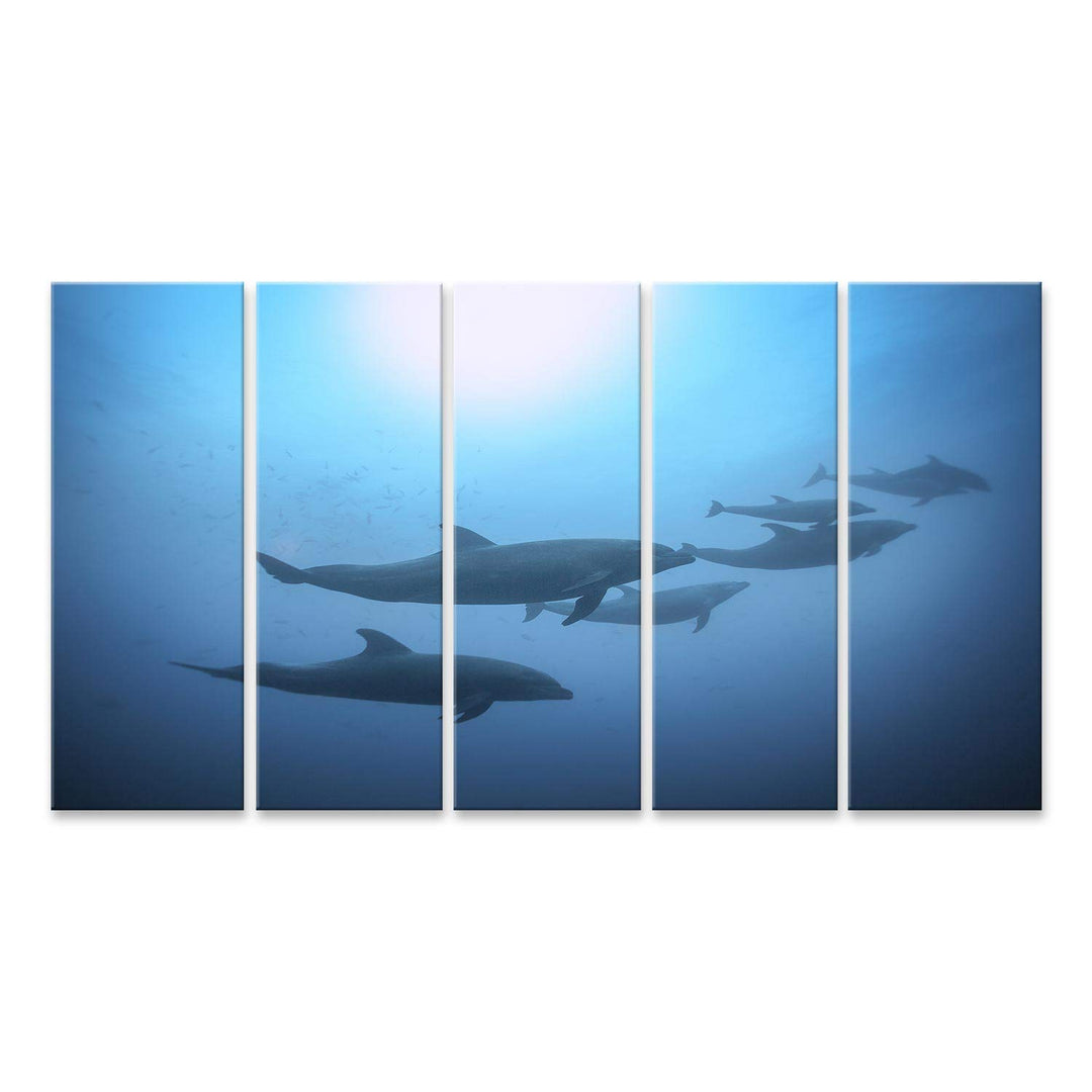 islandburner Bild auf Leinwand Delfine Blick Unter Wasser Im Meer Wandbild Poster Kunstdruck Bilder,