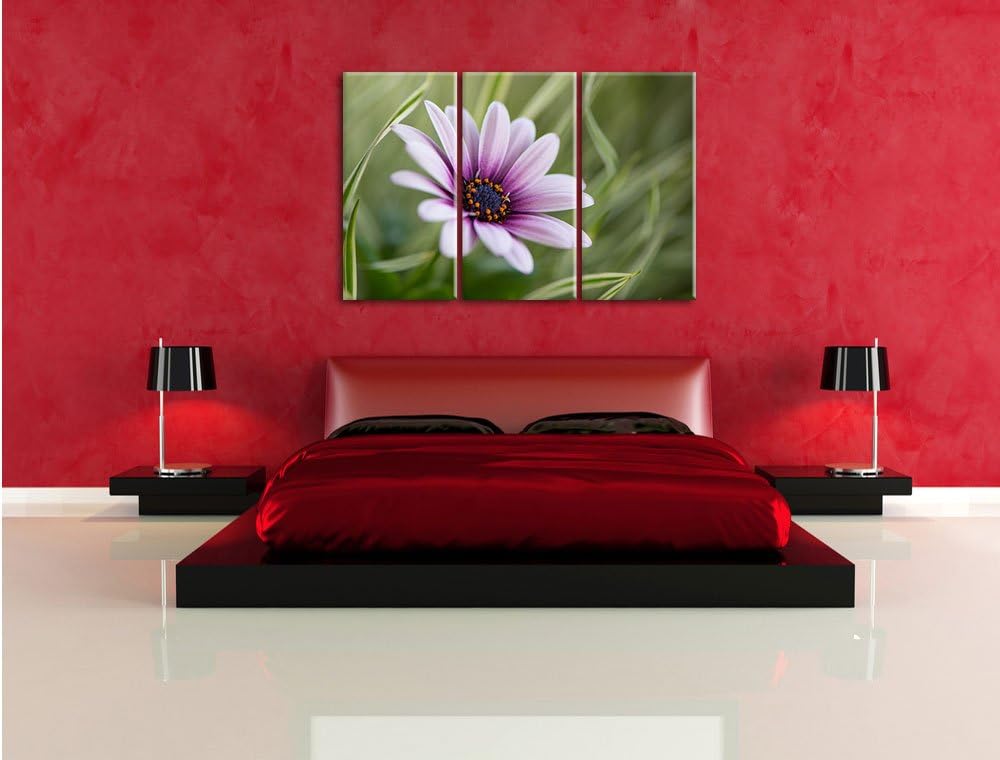 Pixxprint Blume in der Natur als Leinwandbild - Grösse: 3-Teilig (120x80cm) - Wandbild - Kunstdruck