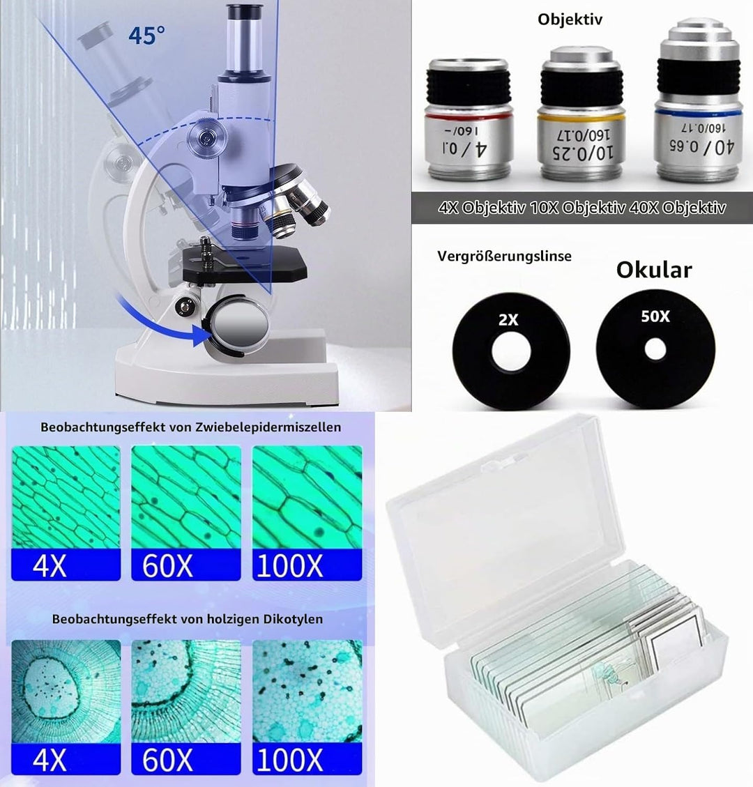 Mikroskop für Studenten und Erwachsene, 200-4000X Vergrösserung, leistungsstarkes biologisches Bildu