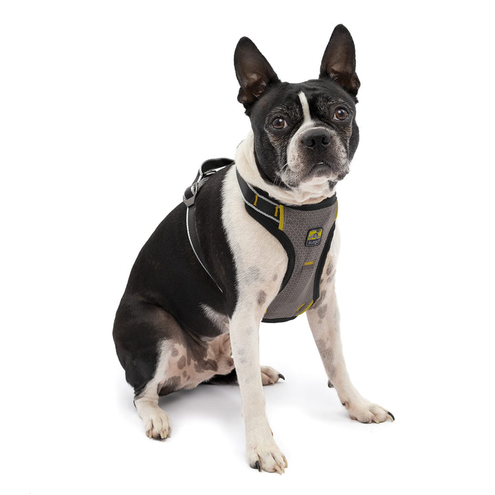 Kurgo Impact Hunde-Autogeschirr, Crashtest-geprüft für mehr Sicherheit, Für Hunde von 5-11 kg geeign