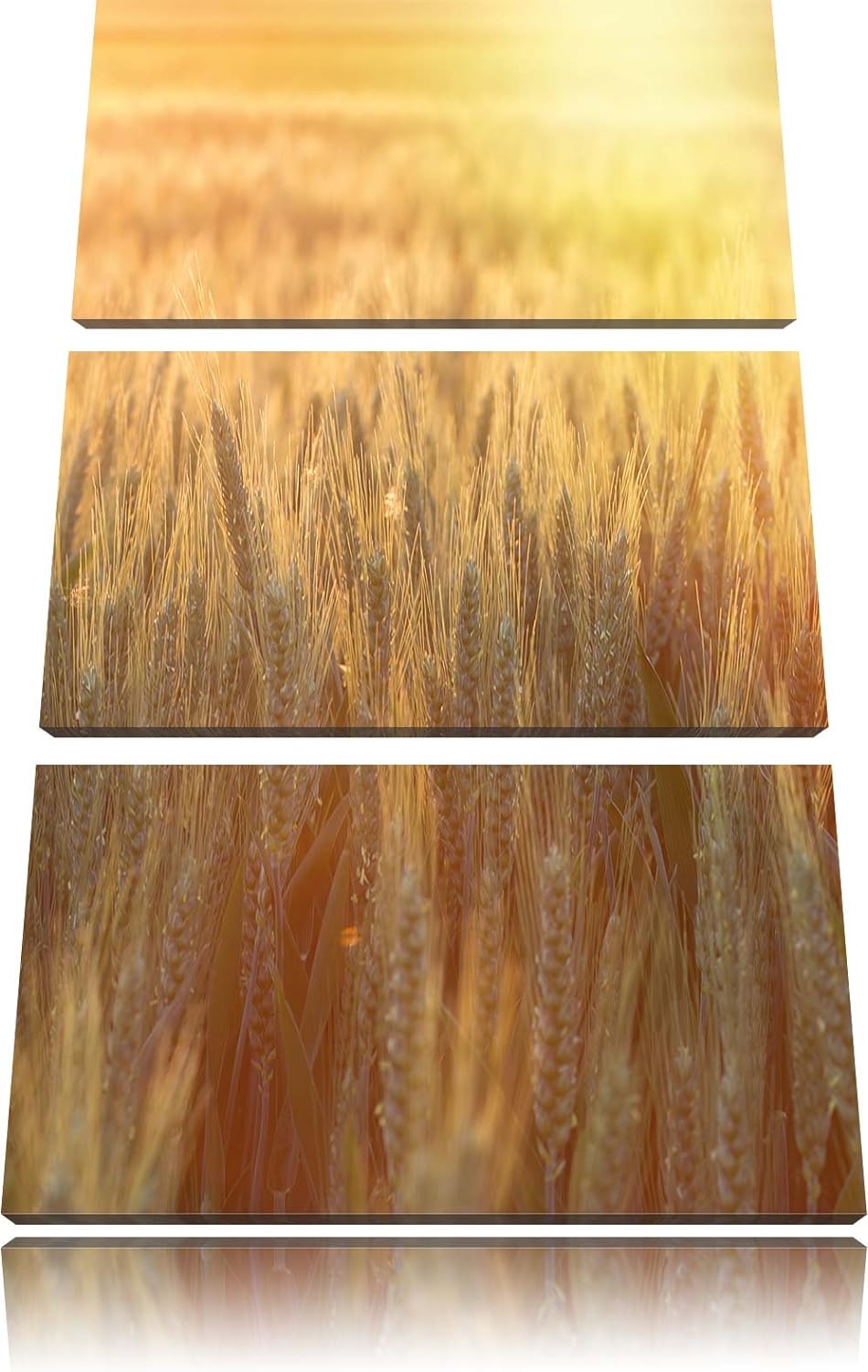 Pixxprint Getreidefeld als Leinwandbild - Grösse: 3-Teilig (120x80cm) - Wandbild - Kunstdruck - fert