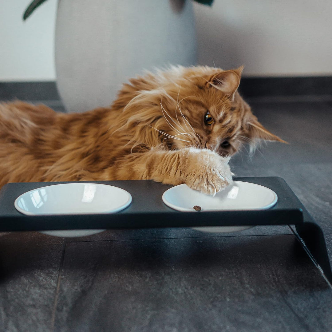 LucyBalu® Erhöhte Doppel-Futterstation Katze | Ergonomischer Katzennapf erhöht | Erhöhter Futternapf