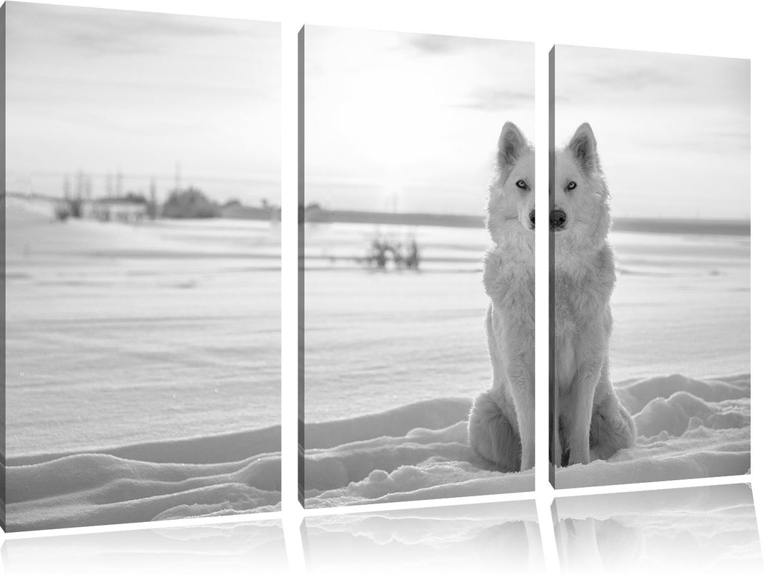 Pixxprint Weisser Wolf im Schnee Kunst B&W als Leinwandbild/Grösse: 3 Teilig (120x80) / Wandbild/Kun