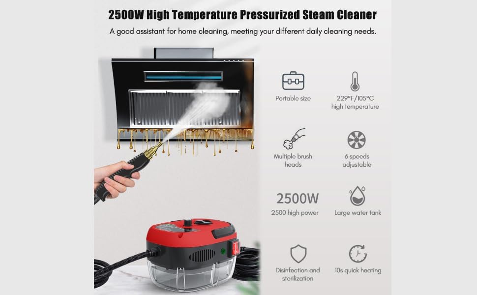 Decdeal Dampfreiniger Steamer,Dampfdruck: 3 bar,Mit 3 verschiedenen Bürstenköpfen,2500W,6 Geschwindi
