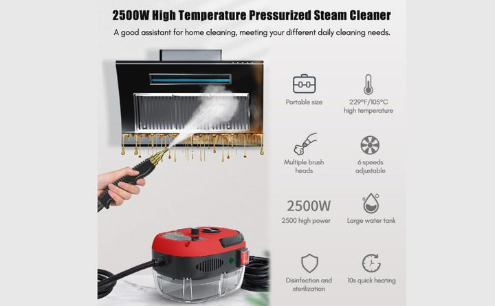 Decdeal Dampfreiniger Steamer,Dampfdruck: 3 bar,Mit 3 verschiedenen Bürstenköpfen,2500W,6 Geschwindi