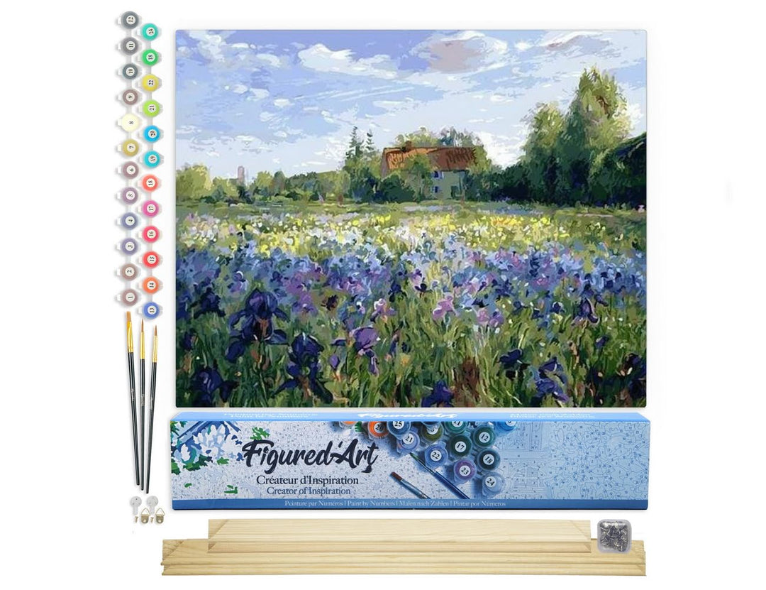 Figured'Art Malen Nach Zahlen Erwachsene Mit Rahmen Auf dem Land - Paint by Numbers Basteln DIY Bast