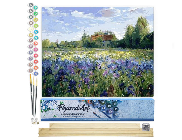 Figured'Art Malen Nach Zahlen Erwachsene Mit Rahmen Auf dem Land - Paint by Numbers Basteln DIY Bast