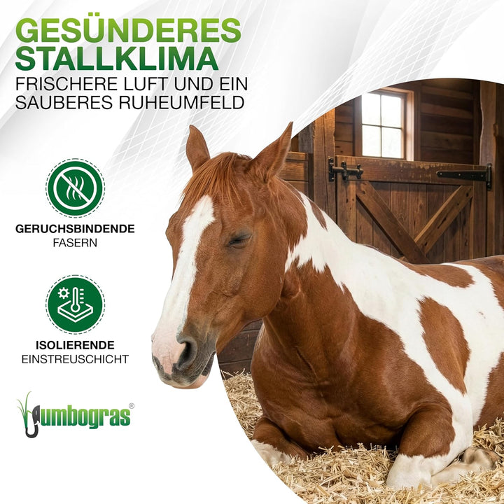 Jumbogras® Grosstier- Pferdeeinstreu aus Miscanthus|Elefantengras|Chinagras-Häcksel, Streu statt Str
