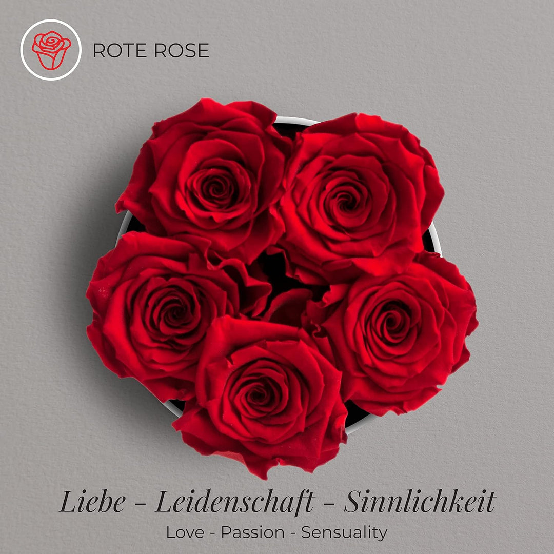 Amoroses Petite - Geschenkbox 5 ewige stabilisierte Rosen - Eleganter Strauss echter Blumen | Gesche