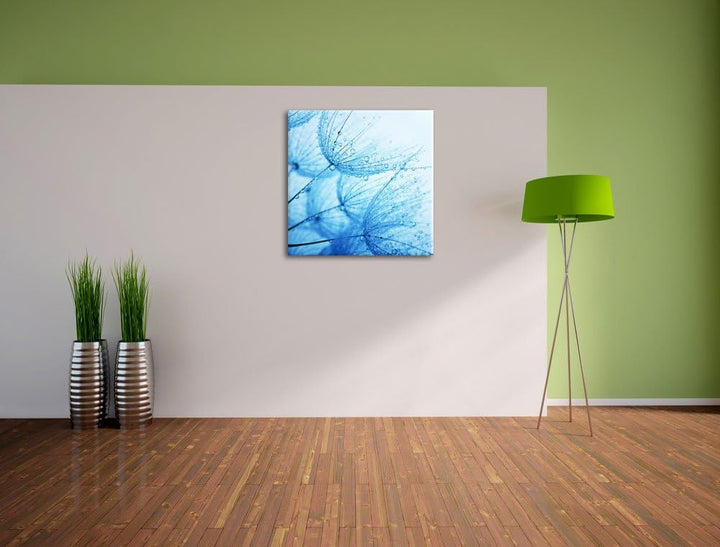 Pixxprint Tropfen bedeckte Pusteblumen / 70x70cm Leinwandbild bespannt auf Holzrahmen/Wandbild Kunst