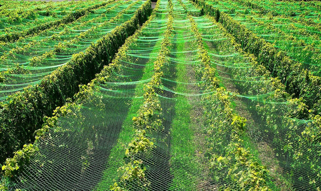 Vielseitiges Teichnetz 11m x 12m grün 17mm x 17mm Masche I Aquagart Laubschutznetz Teich Abdecknetz