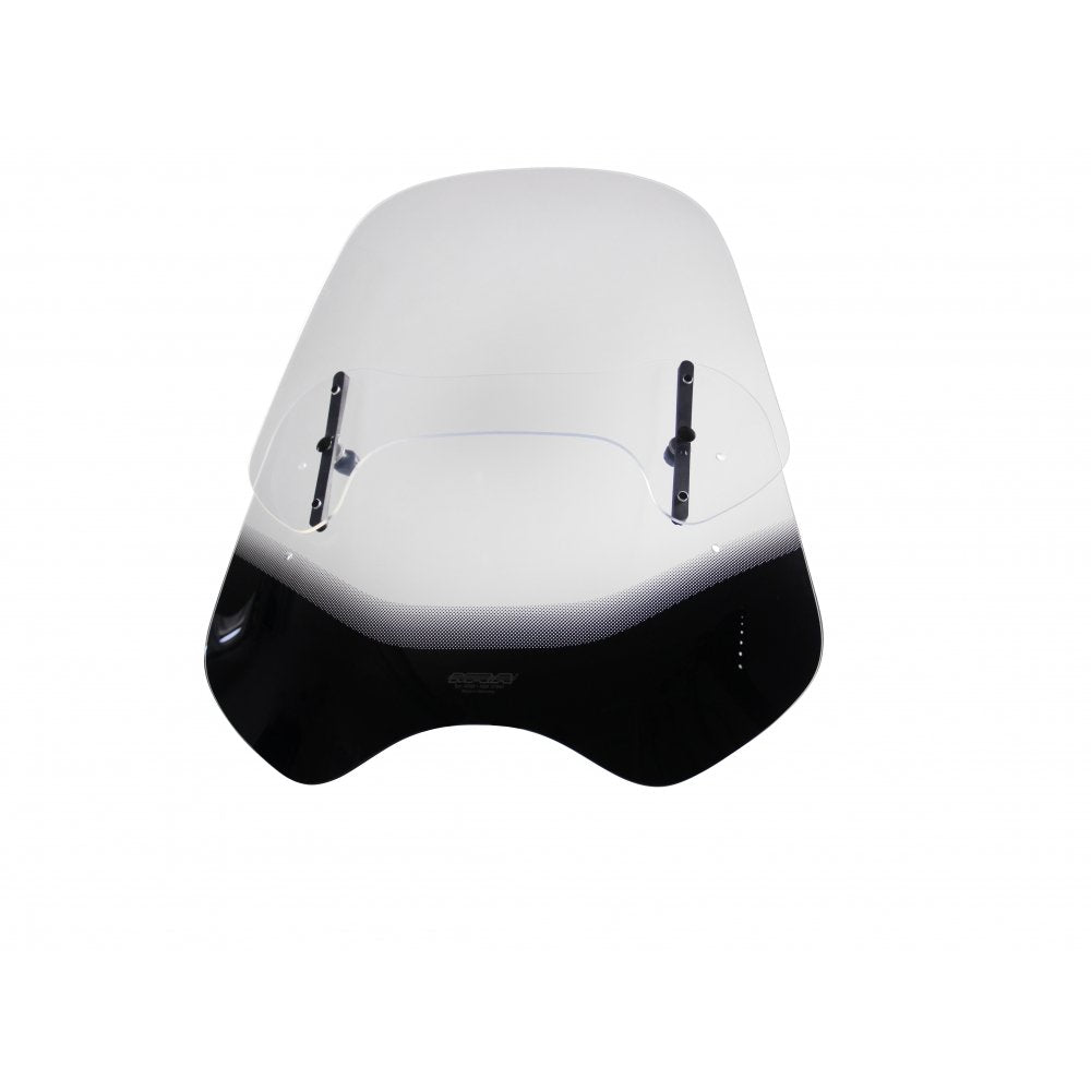 MRA Varioscreen for Naked-Bikes VNB rauchgrau 125 CLASSIC MF G 650 X MOTO E65X CAGIVA RAPTOR 650 M2,