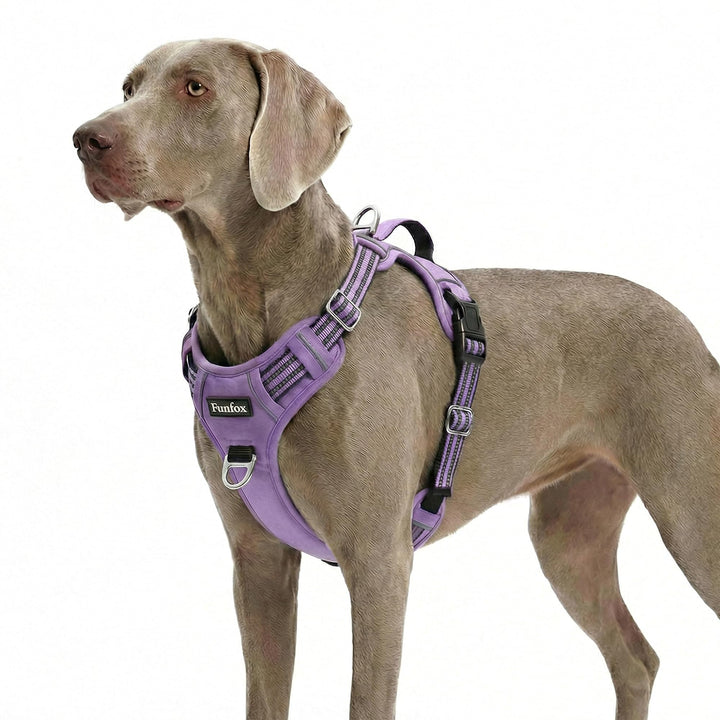 Funfox Hundegeschirr Grosse Hunde [XL] - Verstellbares Anti-Zug Brustgeschirr mit Griff & Reflektors