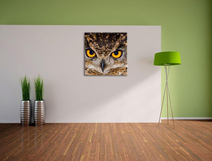 Eule mit gelben Augen, Format: 70x70 auf Leinwand, XXL riesige Bilder fertig gerahmt mit Keilrahmen,
