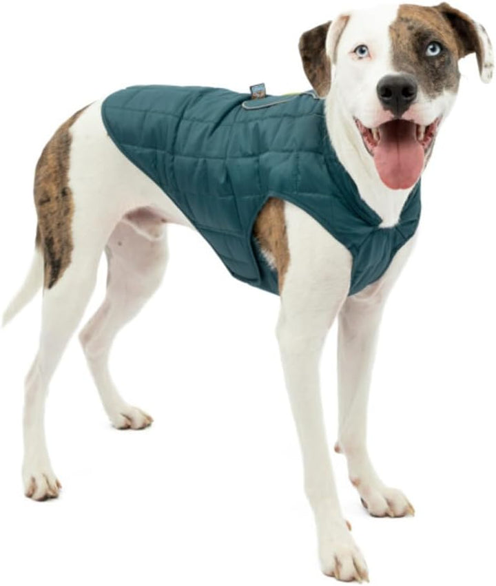 Kurgo Loft Hundejacke, Mit Hundegeschirr kombinierbar, Wasserdicht und reflektierend, Ideal für den