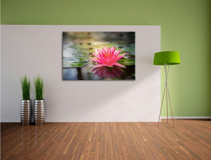 Anmutige Seerose mit Blättern Format: 100x70 auf Leinwand, XXL riesige Bilder fertig gerahmt mit Kei