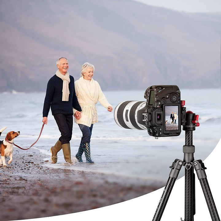 SMALLRIG 360° Kugelkopf mit 1/4 Zoll Schraubbefestigung Aluminium Mini Stativkopf für Canon/für Sony
