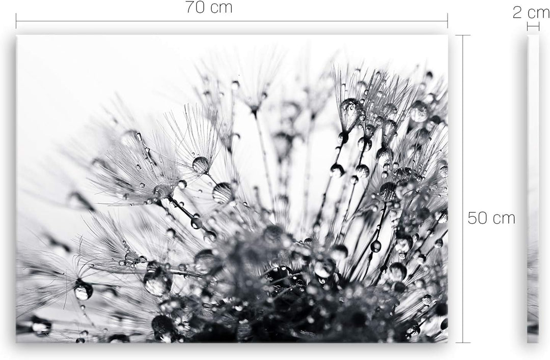 ge Bildet Bild auf Leinwand | Pflanzen-Bilder another world - schwarz weiss H in 70x50 cm als Wandbi