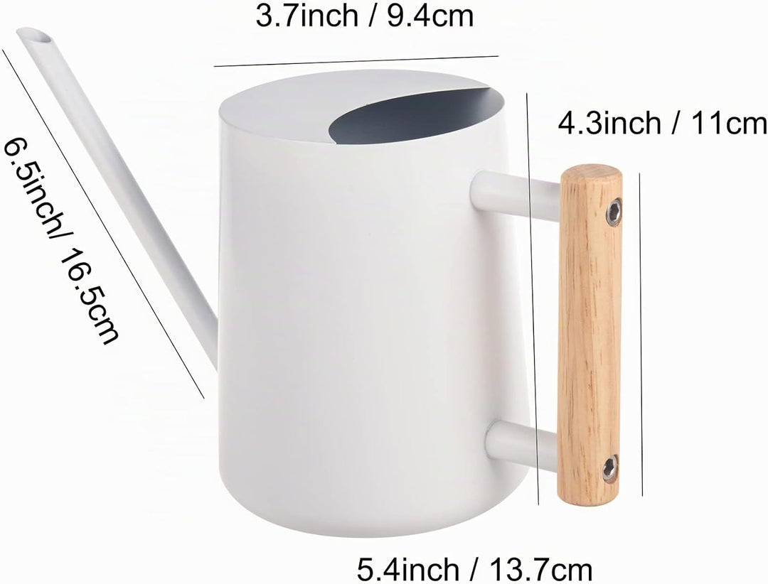 IMEEA Giesskanne Klein 1L Giesskanne Edelstahl Indoor &amp; Outdoor Giesskanne mit langem Auslauf Bewäss