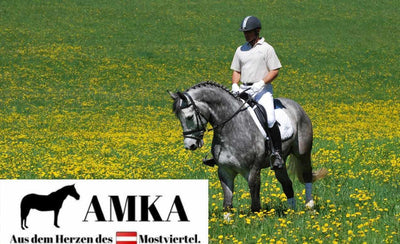 AMKA Hackamore Flora mit Flower Rad weich gepolstert gebisslose Zäumung braun, braun