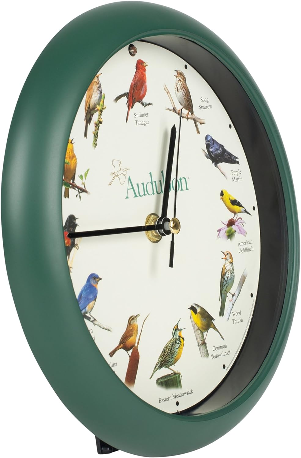Mark Feldstein & Associates Audubon Singing Bird Wanduhr, Schreibtischuhr, 20,3 cm 8" Grün, 8" Grün