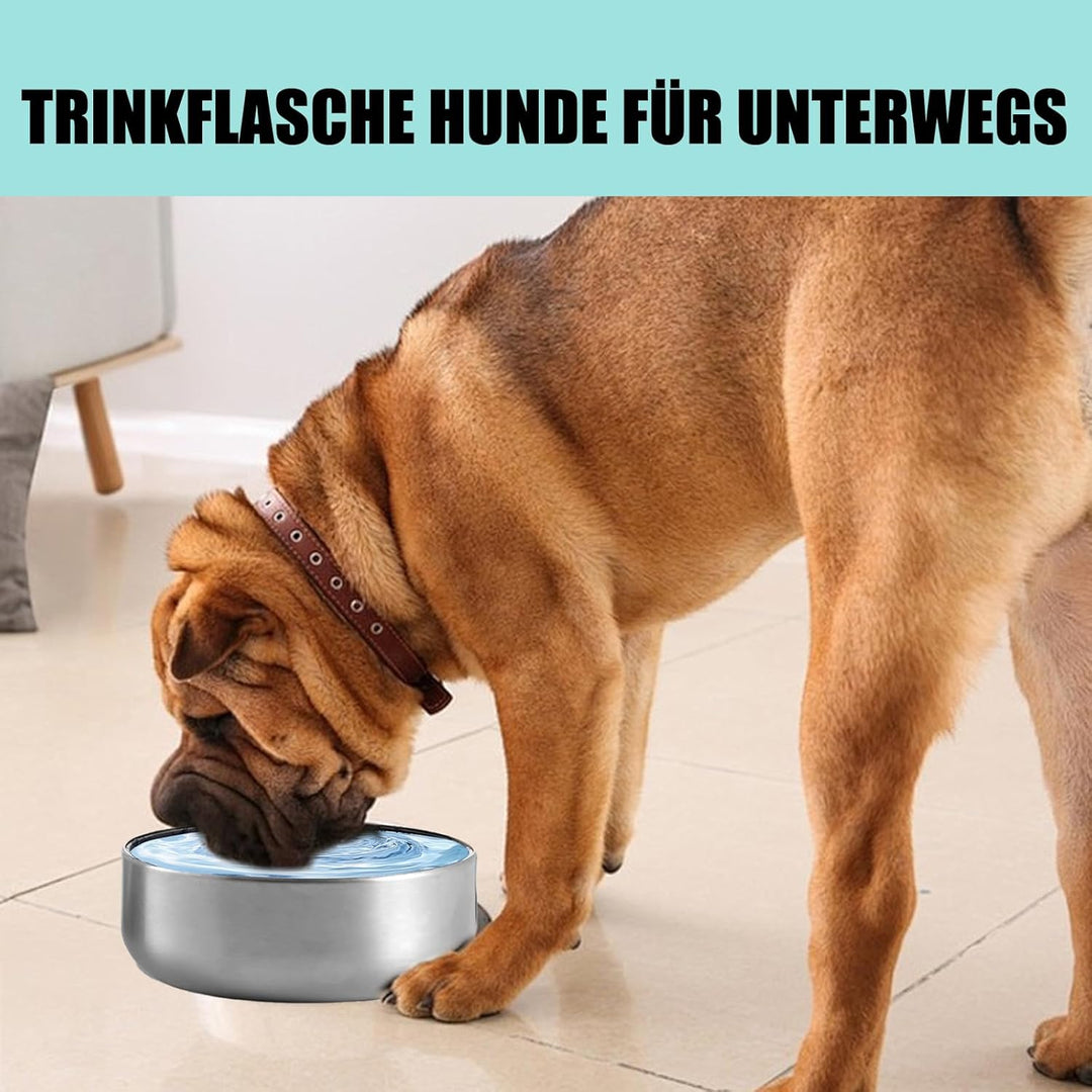 950ML 3 in 1 Hundetrinkflasche für unterwegs, Isolierte Edelstahl Trinkflasche Hunde für unterwegs m