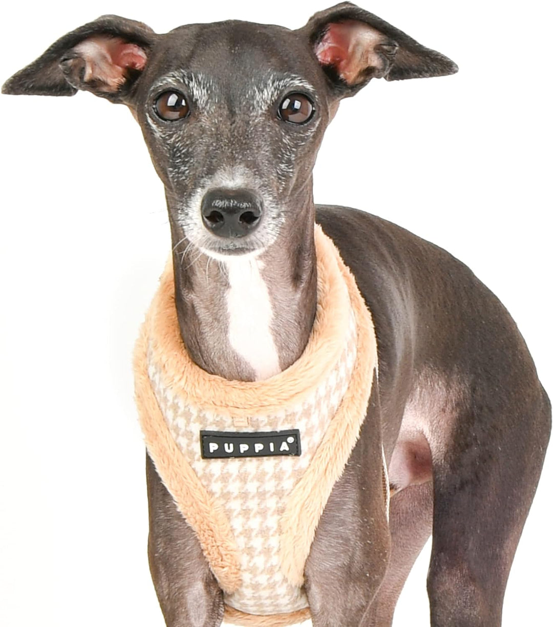 Puppia Hundegeschirr für kleine und mittelgrosse Hunde - Shepherd Harness A - verstellbar und komfor