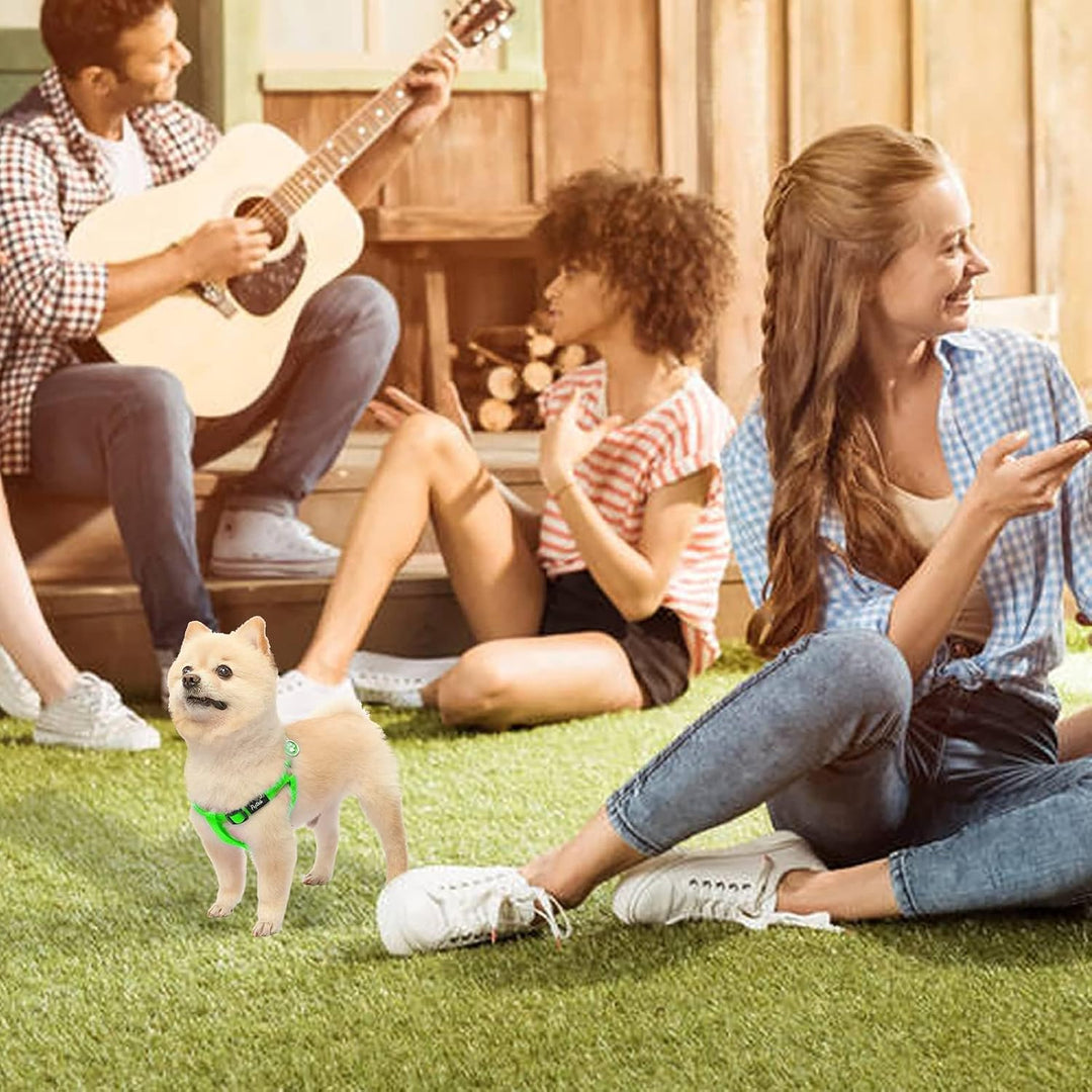 Pupteck zerrfreies Hundegeschirr, weich, verstellbar, Nylon, Step-in-Hundegeschirr für das Outdoor-G